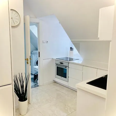 Apartment Vip *